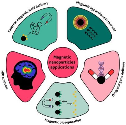  MagnetietNanodeeltjes: Een Magnetisch Mysterie voor Industrieel Innovatie!